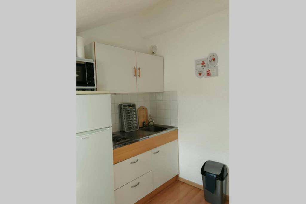 Petit Studio Mansarde 18 M2 Avec Navette Gratuit Aux Pistes De Ski Gresse-en-Vercors Exteriör bild