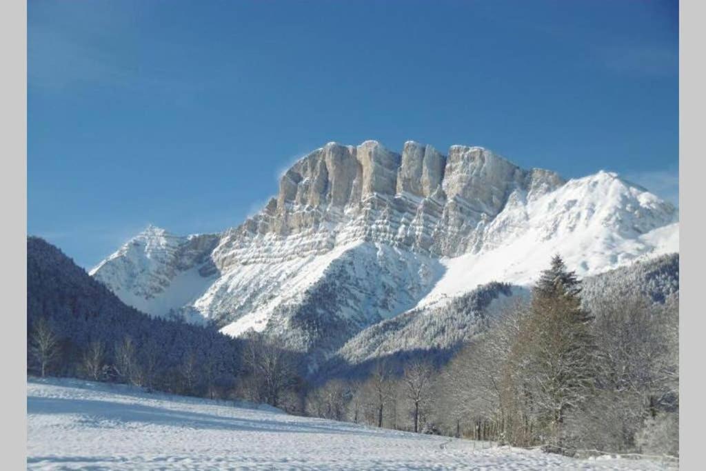 Petit Studio Mansarde 18 M2 Avec Navette Gratuit Aux Pistes De Ski Gresse-en-Vercors Exteriör bild